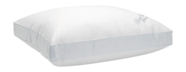 3---ganzendons_boxkussen_3-_no-bg