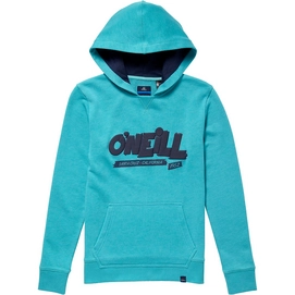 Pullover O'Neill Boys Pacific Coast Hoodie Veridian Green Kinder
