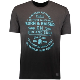 T-Shirt O'Neill Born & Raised Asphalt Herren