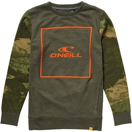 Trui O'Neill Boys O'Neill Search Sweatshirt Forest Night
