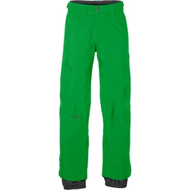 Ski Trousers O'Neill Men Hammer Pants Treetop Green