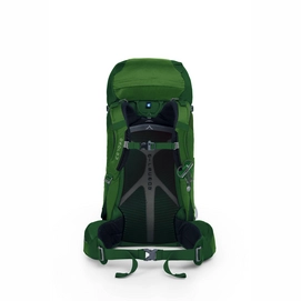 Backpack Osprey Kestrel 48 Jungle Green (S/M)