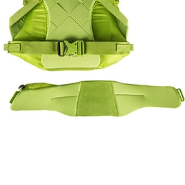 Backpack Gregory Alpinisto 50 Lichen Green M
