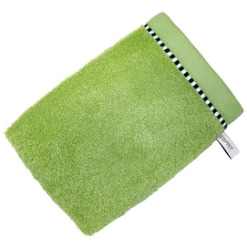 Washcloth Esprit Box Solid Apple Green (Set of 6)