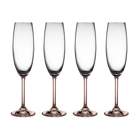 Champagne Glass Bitz Smoke (4 pcs)