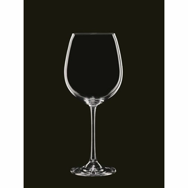 Wijnglas Nachtmann Vivendi 727 ml (4-delig)