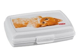 Bewaarbox Curver Multi Snap Kat Rechthoek