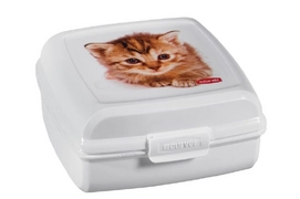 Bewaarbox Curver Multi Snap Kat Vierkant Klein