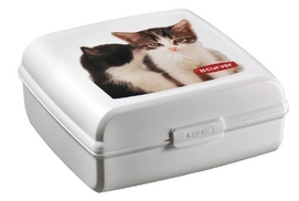 Bewaarbox Curver Multi Snap Kat Vierkant Groot