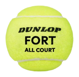 601605_fort-all-court-ball-01-_no-bg
