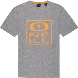 T-Shirt O'Neill Tonal Silver Melee Herren