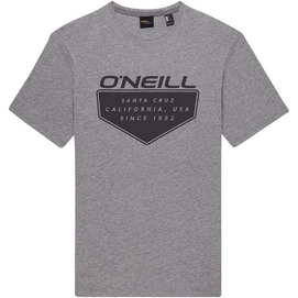 T-Shirt O'Neill Men O'Neill Cruz Silver Melee