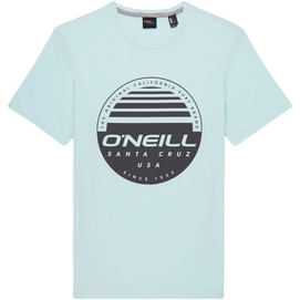 T-Shirt O'Neill O'Neill Horizon Water Herren