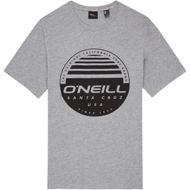 T-Shirt O'Neill O'Neill Horizon Silver Melee Herren