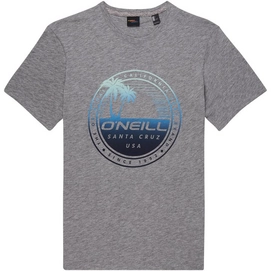 T-Shirt O'Neill Palm Island Silver Melee Herren
