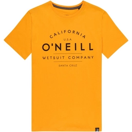 T-Shirt O'Neill O'Neill S/S Eclat Kinder