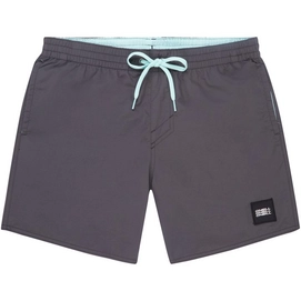 Boardshort O'Neill Men Vert Asphalt Blue