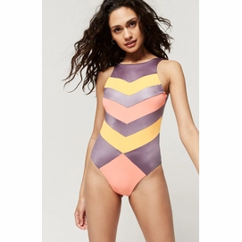 Badpak O'Neill Roma Shiney Swimsuit Pink Aop