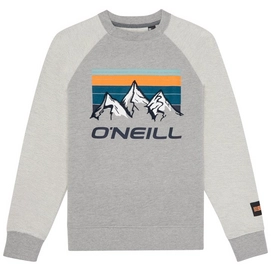 Trui O'Neill Boys Morgan Crew Silver Melee