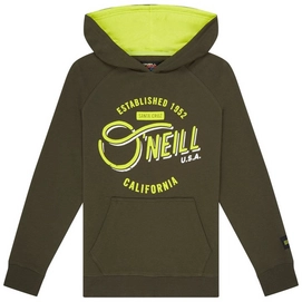 Trui O'Neill Boys Cali Hoodie Forest Night