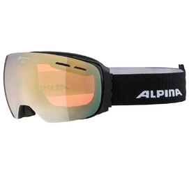 Skibril Alpina Granby Q Black Matt