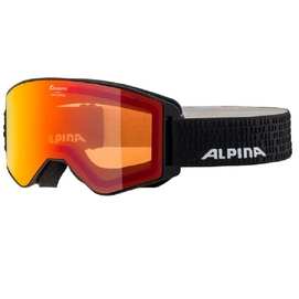 Skibrille Alpina Narkoja Q-Lite Schwarz