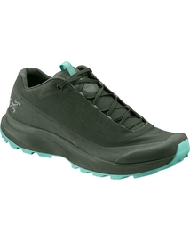 Wandelschoen Arc'teryx Women Aerios FL GTX Shorepine Illucinate