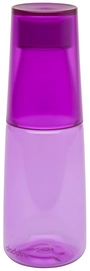 Gourde Aladdin Crave Berry 0,5 L