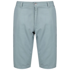Kurze Hose  Regatta Salvador Short Stone Blue Herren