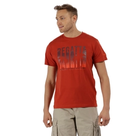 T-Shirt Regatta Men Cline II Burnt Tikka