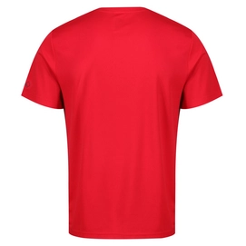 T-Shirt Regatta Men Fingal III Pepper