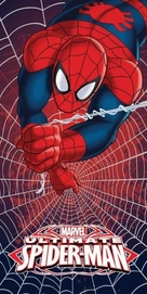 Strandlaken Spider-Man Web