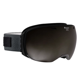 Skibrille Alpina Big Horn MM Schwarz / Grau