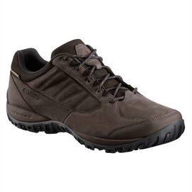 Chaussures de Randonnée Columbia Men Ruckel Ridge Plus Waterproof Cordovan Madder Brown