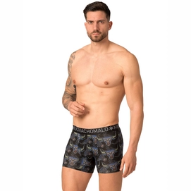 BULL1132-01_02