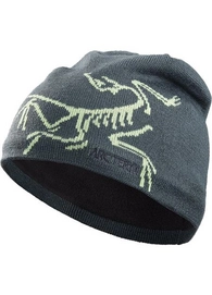 Beanie Arc'teryx Bird Head Toque Paradox Bioprism