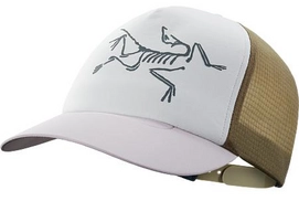 Cap Arc'teryx Bird Trucker Hat Antenna Symbiome Delos Grey
