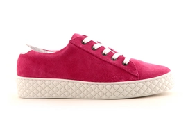 Sneakers Cycleur de Luxe Albufeira Fucsia Optic Weiß Damen