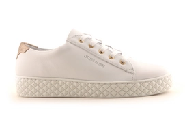 Sneakers Cycleur de Luxe Albufeira Optic White Gold Damen