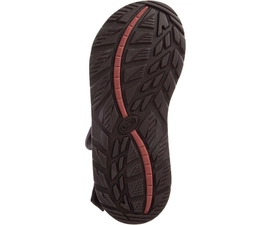 CHAM-JCH107225-050919-S20-OUT