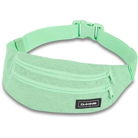 Sac Banane Dakine Classic Hip Pack Dusty Mint