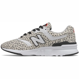 CW997HPS-B_1