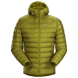 Jacket Arc'teryx Men Cerium LT Hoody Elytron