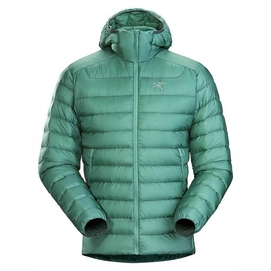Jacket Arc'teryx Men Cerium LT Hoody Galactica