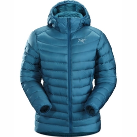 Jacke Arc'teryx Cerium LT Hoody Iliad Herren