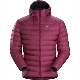 Jacket Arc'teryx Men Cerium LT Hoody Renegade