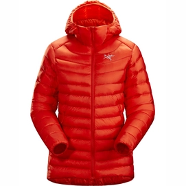 Jacket Arc'teryx Women Cerium LT Hoody Dynasty