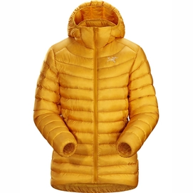 Jacke Arc'teryx Cerium LT Hoody Quantum Damen
