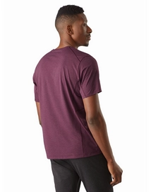 Cormac-Logo-Shirt-SS-Rhapsody-Back-View