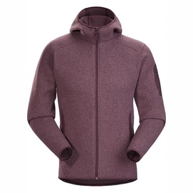 Fleece Arc'teryx Men Covert Hoody Axiom Heather
